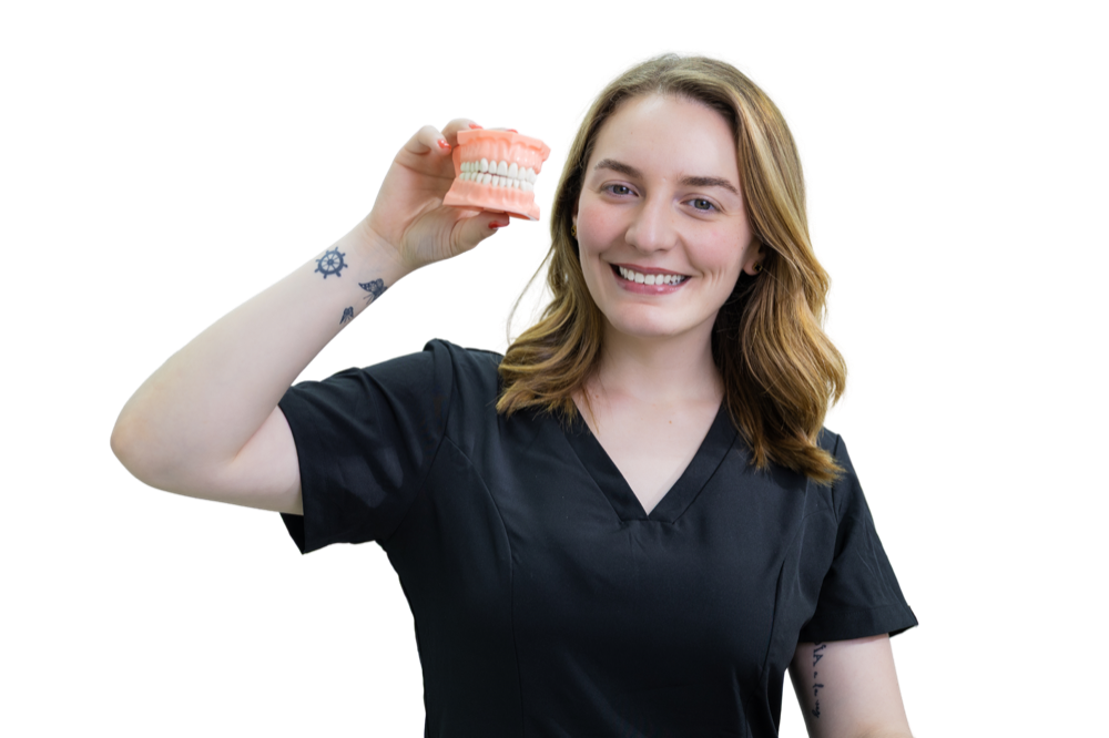 Modelo dental utilizado para explicar resinas en FerJam Dent